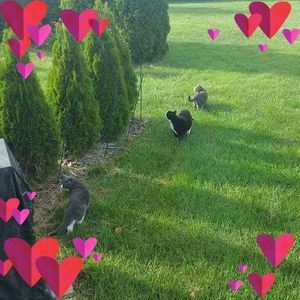 Meet your Posher, Vince